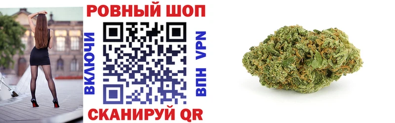 APVP Юрьев-Польский