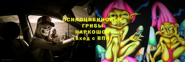 ешки Иннополис