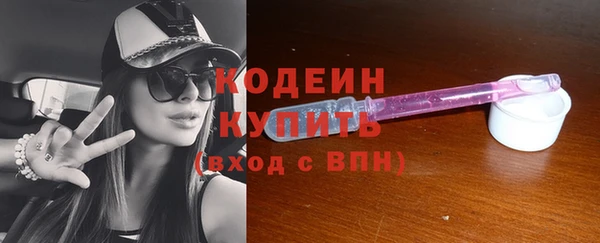 ешки Иннополис