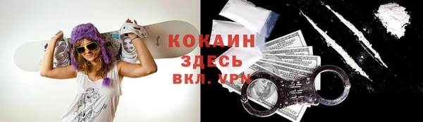 ГАЛЛЮЦИНОГЕННЫЕ ГРИБЫ Каменка