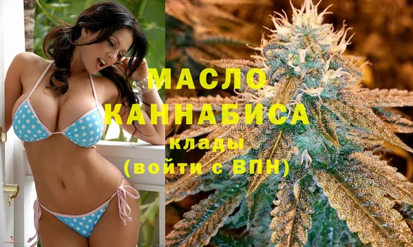 винт Инта
