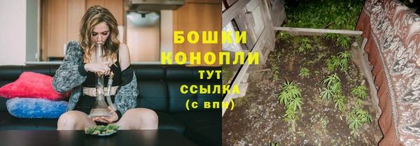 ешки Иннополис