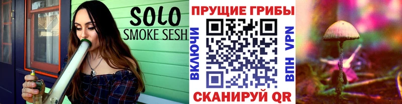 Купить закладки  Юрьев-Польский  Псилоцибиновые грибы GOLDEN TEACHER 